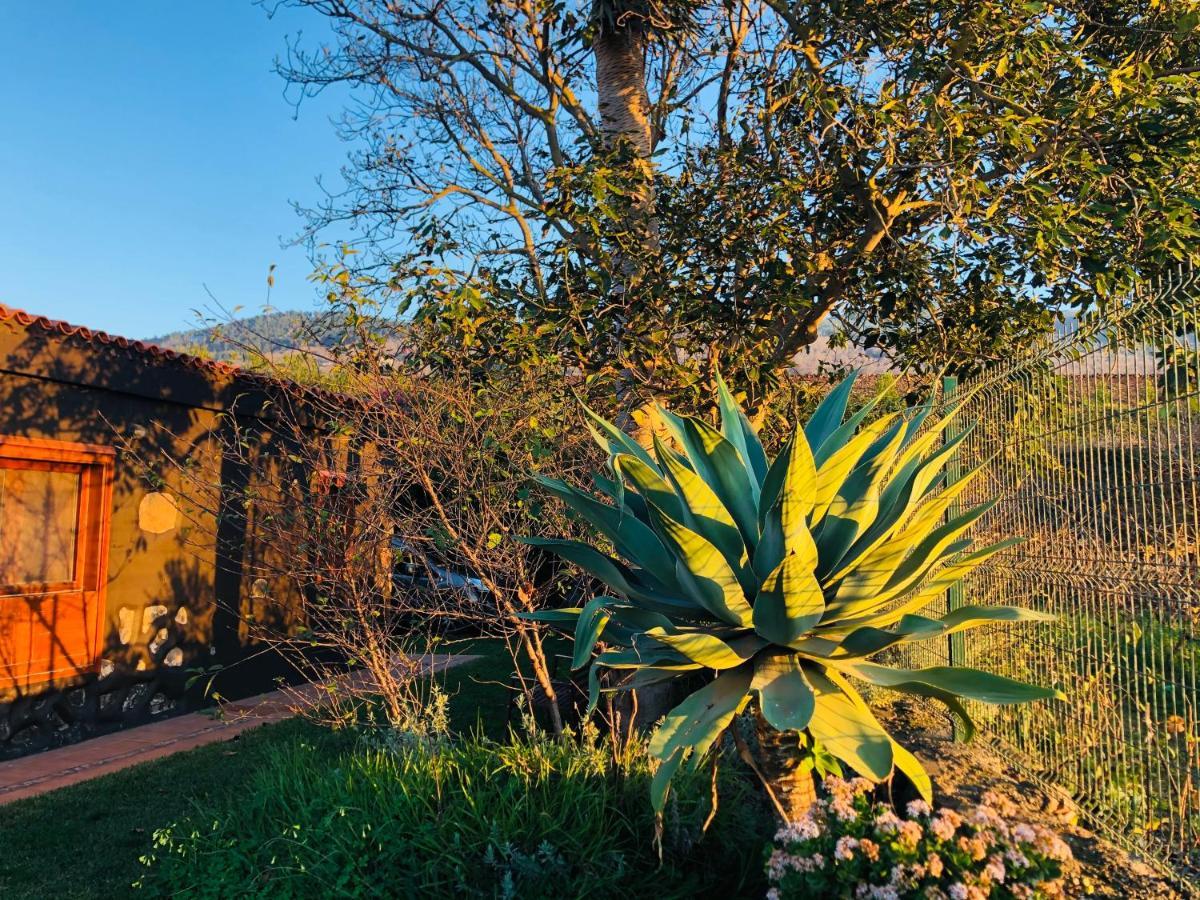 Casa Rural Dona Herminda La Matanza De Acentejo Екстер'єр фото