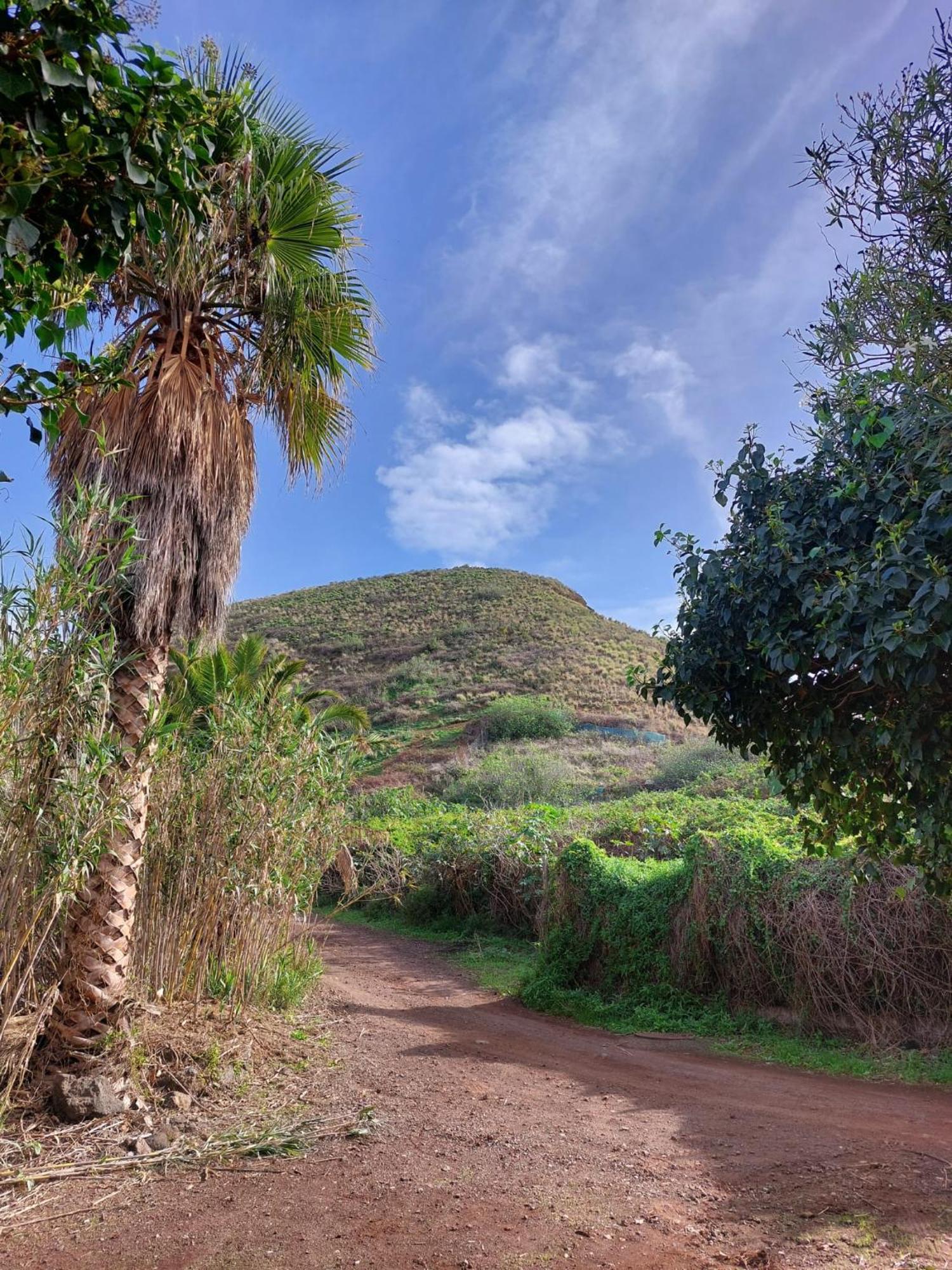 Casa Rural Dona Herminda La Matanza De Acentejo Екстер'єр фото