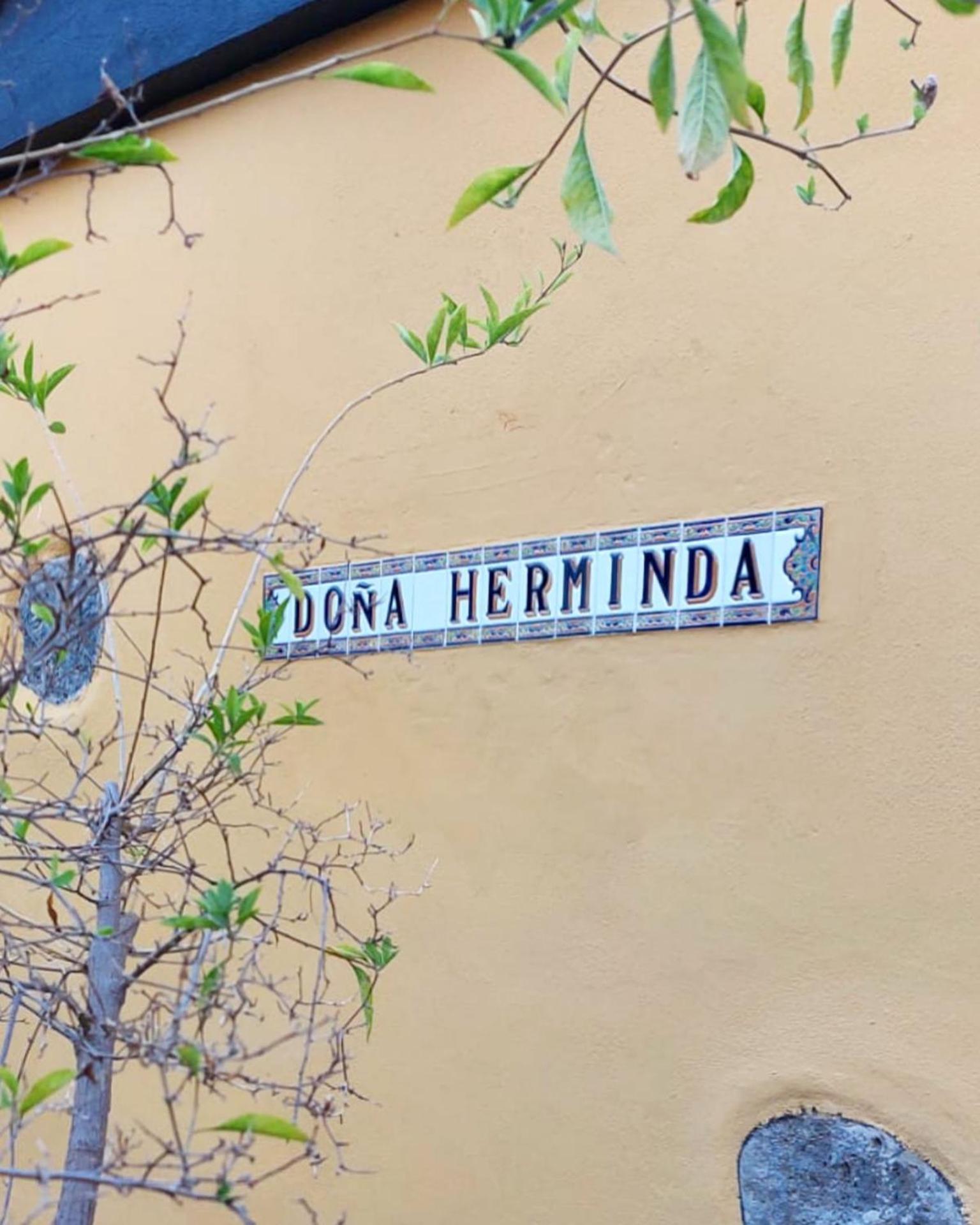 Casa Rural Dona Herminda La Matanza De Acentejo Екстер'єр фото